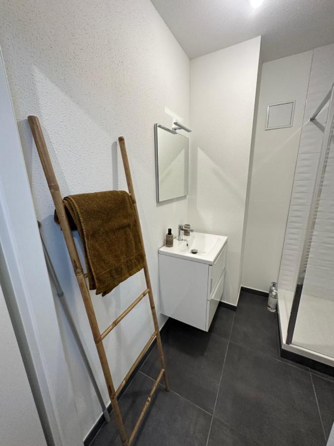 Appartement Atypique Proche Gare/ Dans L'Hyper-Centre Spacieux Pour 6P Au Coeur De Мюлуз Экстерьер фото