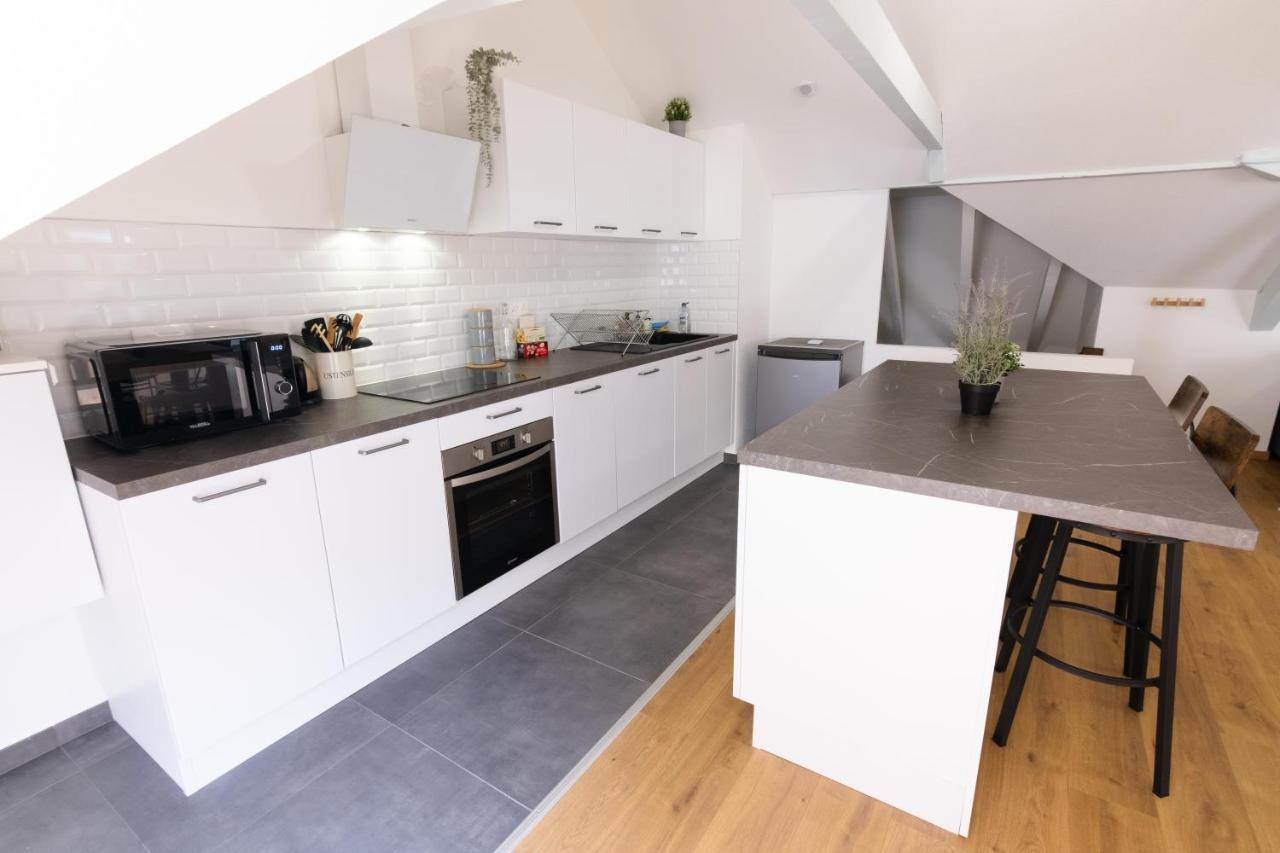 Appartement Atypique Proche Gare/ Dans L'Hyper-Centre Spacieux Pour 6P Au Coeur De Мюлуз Экстерьер фото
