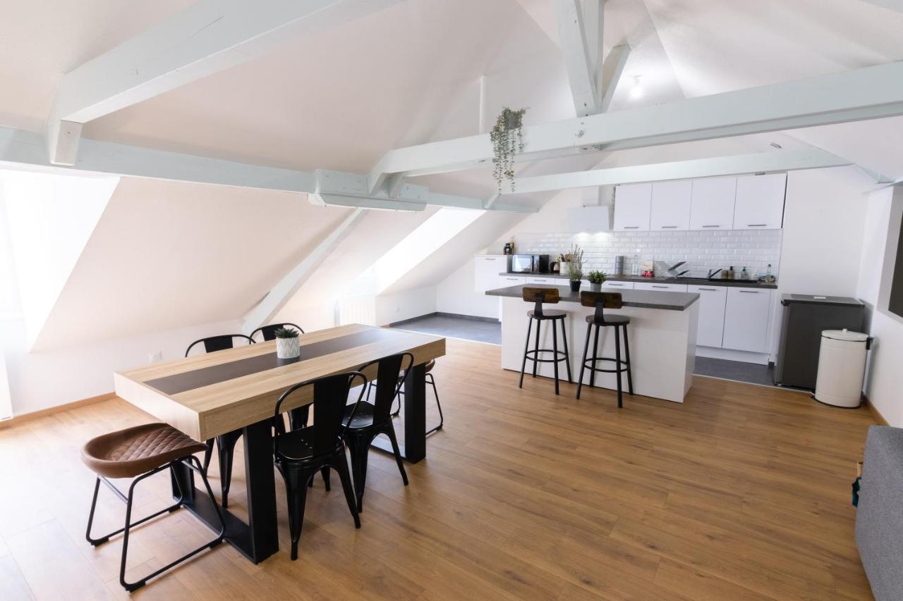Appartement Atypique Proche Gare/ Dans L'Hyper-Centre Spacieux Pour 6P Au Coeur De Мюлуз Экстерьер фото